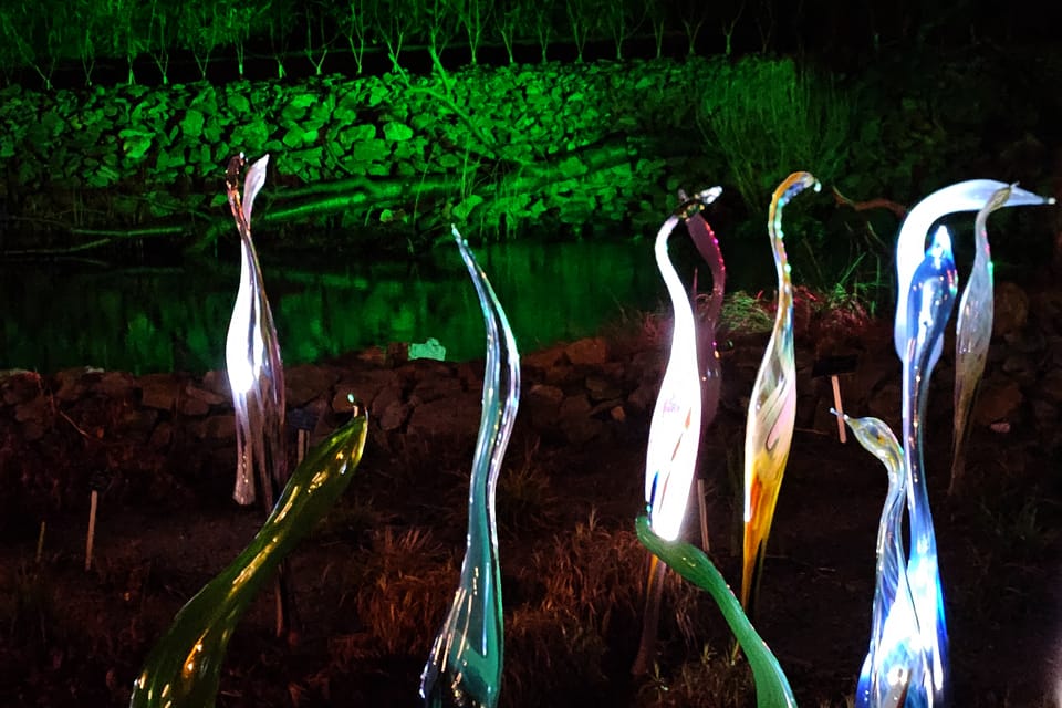 L’exposition 'Le jardin de cristal' de Jiří Pačinek au Jardin botanique de Prague | Photo: Štěpánka Budková,  Radio Prague Int.