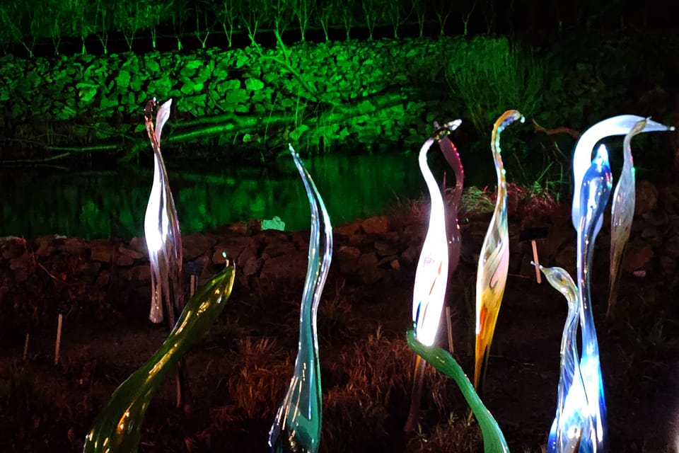 L’exposition 'Le jardin de cristal' de Jiří Pačinek au Jardin botanique de Prague | Photo: Štěpánka Budková, Radio Prague Int. L’exposition 'Le jardin de cristal' de Jiří Pačinek au Jardin botanique de Prague | Photo: Štěpánka Budková, Radio Prague Int.