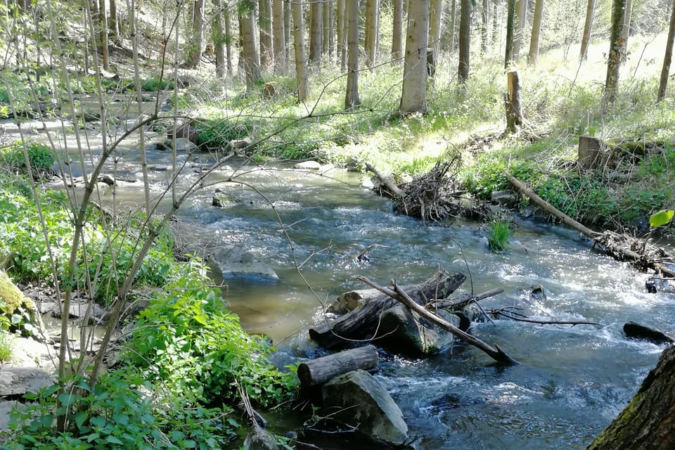 Le ruisseau Konopišťský à Měsíční údolí | Photo: Štěpánka Budková, Radio Prague Int. Le ruisseau Konopišťský à Měsíční údolí | Photo: Štěpánka Budková, Radio Prague Int.