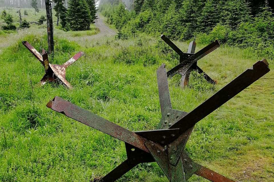 Des hérissons tchèques à Šumava | Photo: Štěpánka Budková, Radio Prague Int. Des hérissons tchèques à Šumava | Photo: Štěpánka Budková, Radio Prague Int.