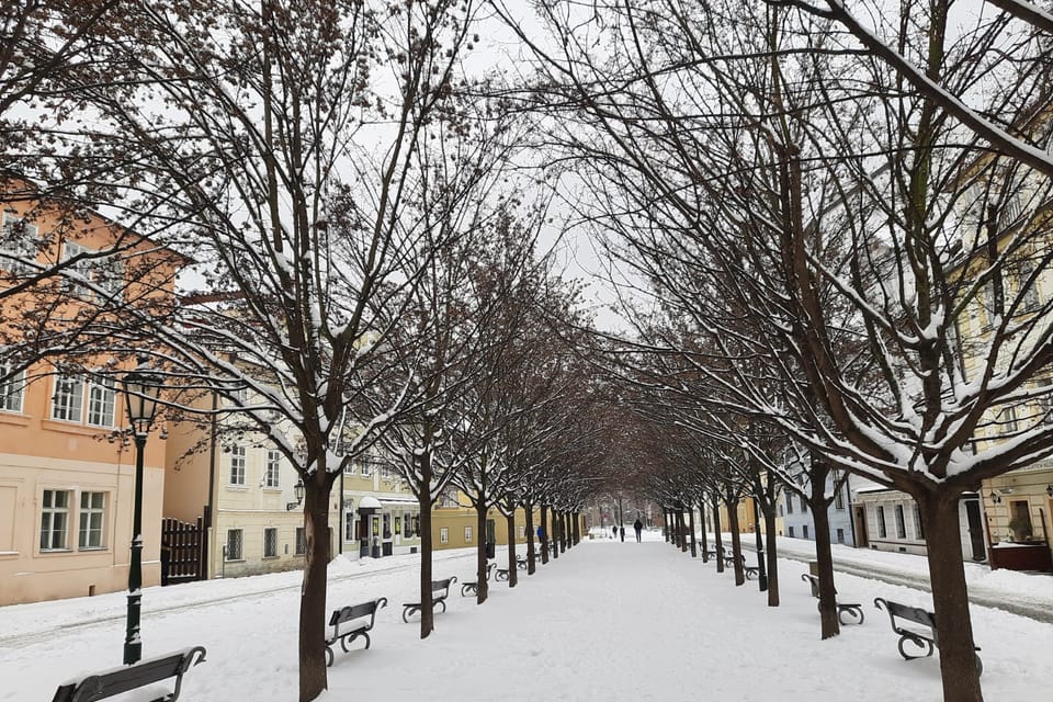 Kampa, photo: Thibaut Maillet Kampa, photo: Thibaut Maillet