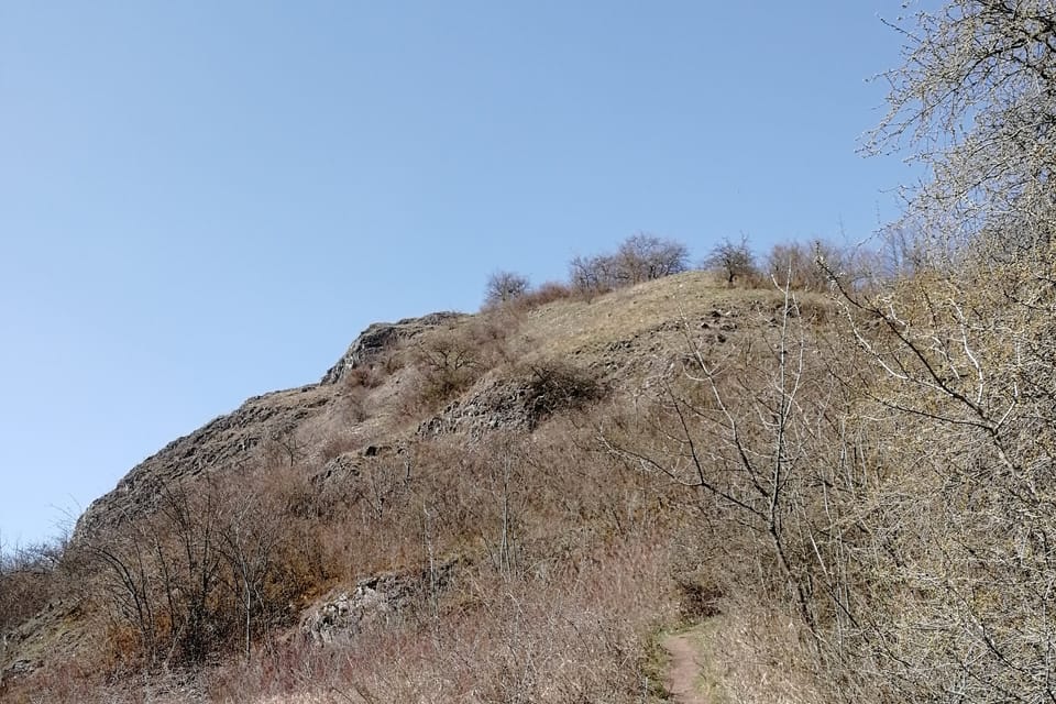 La réserve naturelle d’Homolka, photo: Štěpánka Budková La réserve naturelle d’Homolka, photo: Štěpánka Budková