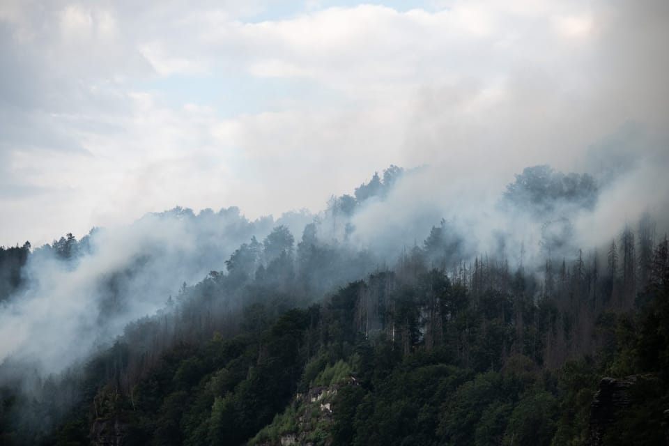 L’incendie de l’année 2022 dans le parc national de České Švýcarsko | Photo: René Volfík, ČRo L’incendie de l’année 2022 dans le parc national de České Švýcarsko | Photo: René Volfík, ČRo