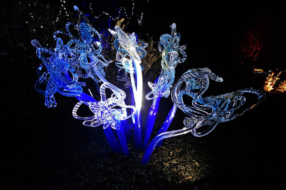 L’exposition 'Le jardin de cristal' de Jiří Pačinek au Jardin botanique de Prague | Photo: Štěpánka Budková, Radio Prague Int. L’exposition 'Le jardin de cristal' de Jiří Pačinek au Jardin botanique de Prague | Photo: Štěpánka Budková, Radio Prague Int.