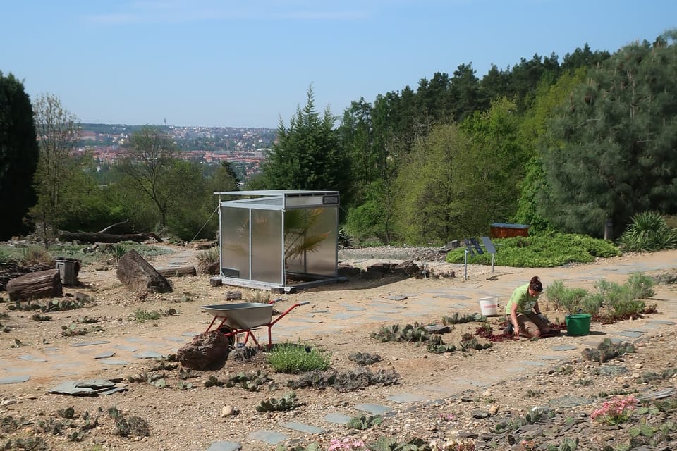 Photo: Štěpánka Budková, Radio Prague Int. Photo: Štěpánka Budková, Radio Prague Int.