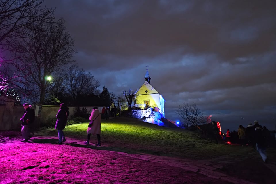 L’exposition 'Le jardin de cristal' de Jiří Pačinek au Jardin botanique de Prague | Photo: Štěpánka Budková,  Radio Prague Int.