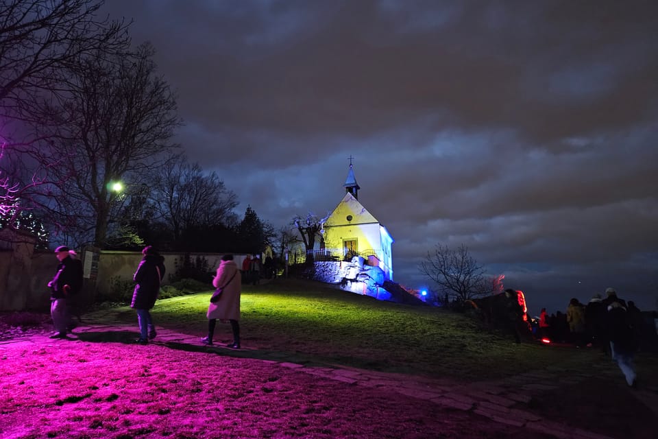 L’exposition 'Le jardin de cristal' de Jiří Pačinek au Jardin botanique de Prague | Photo: Štěpánka Budková, Radio Prague Int. L’exposition 'Le jardin de cristal' de Jiří Pačinek au Jardin botanique de Prague | Photo: Štěpánka Budková, Radio Prague Int.