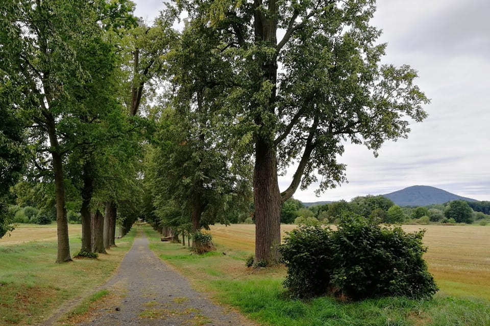 L'allée de tilleul de Zahrádky, photo: L'allée de tilleul de Zahrádky, photo: