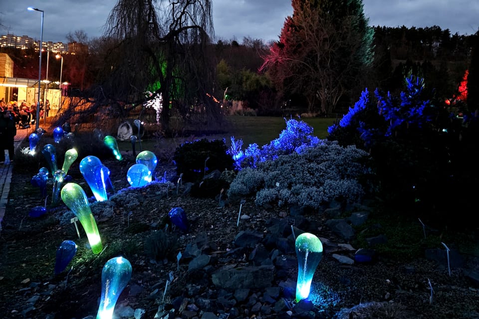 L’exposition 'Le jardin de cristal' de Jiří Pačinek au Jardin botanique de Prague | Photo: Štěpánka Budková,  Radio Prague Int.