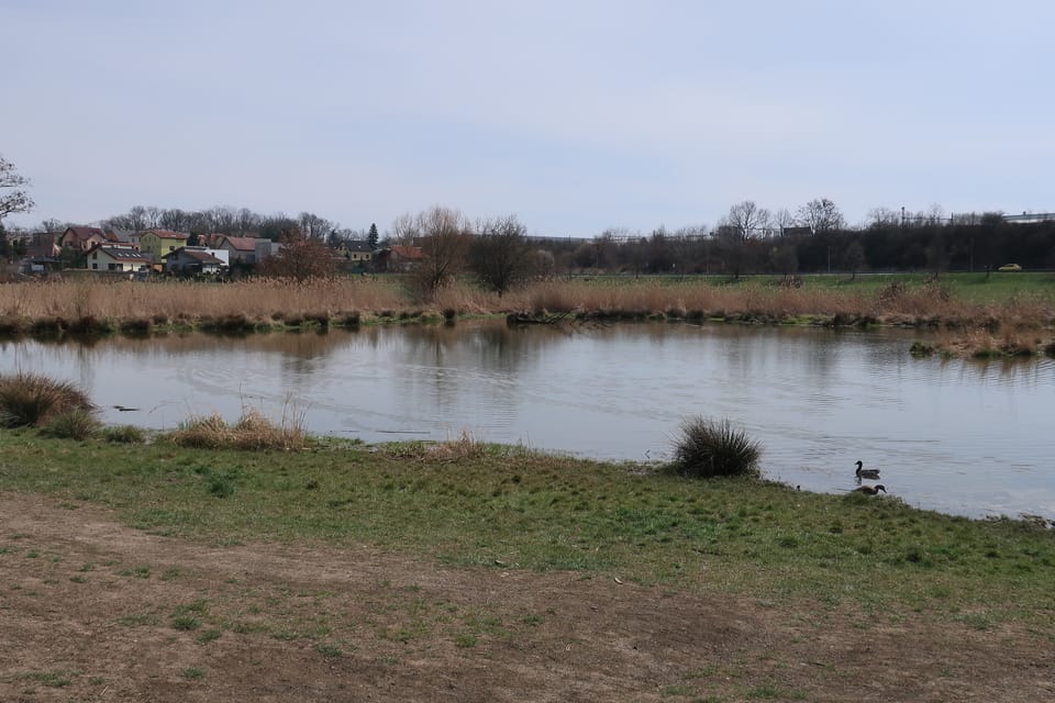 Le parc naturel Čihadla à Prague - Hostavice | Photo: Štěpánka Budková, Radio Prague Int. Le parc naturel Čihadla à Prague - Hostavice | Photo: Štěpánka Budková, Radio Prague Int.