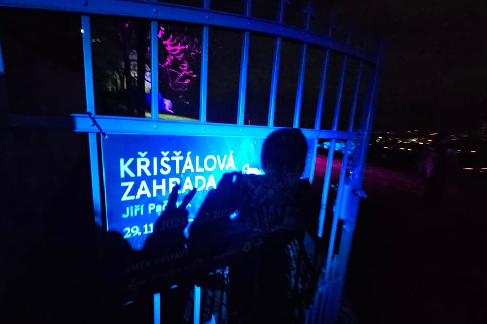 L’exposition 'Le jardin de cristal' de Jiří Pačinek au Jardin botanique de Prague | Photo: Štěpánka Budková,  Radio Prague Int.