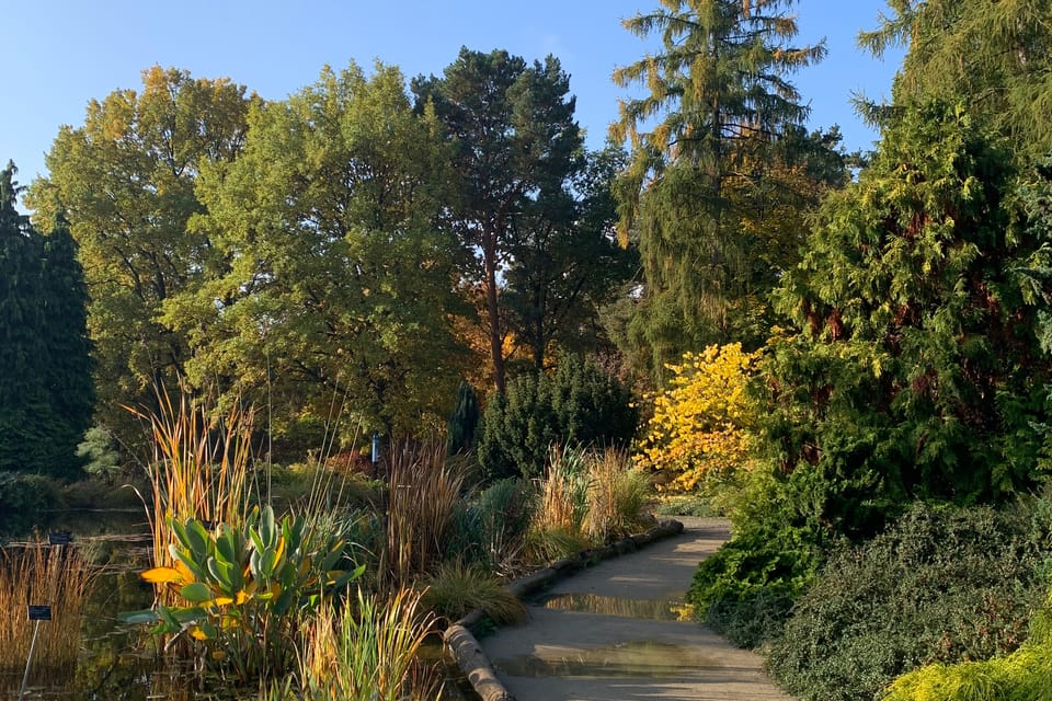 L'automne dans le jardin botanique | Photo: Mélie Toussaint, Radio Prague Int. L'automne dans le jardin botanique | Photo: Mélie Toussaint, Radio Prague Int.