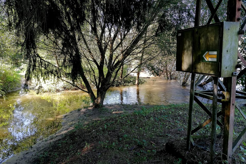 Un sentier de randonnée inondé par le débordement da rivière Sázava | Photo: Anaïs Raimbault, Radio Prague Int. Un sentier de randonnée inondé par le débordement da rivière Sázava | Photo: Anaïs Raimbault, Radio Prague Int.