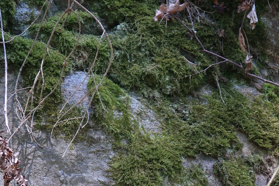 Měsíční údolí (La vallée de la lune) | Photo: Štěpánka Budková, Radio Prague Int. Měsíční údolí (La vallée de la lune) | Photo: Štěpánka Budková, Radio Prague Int.