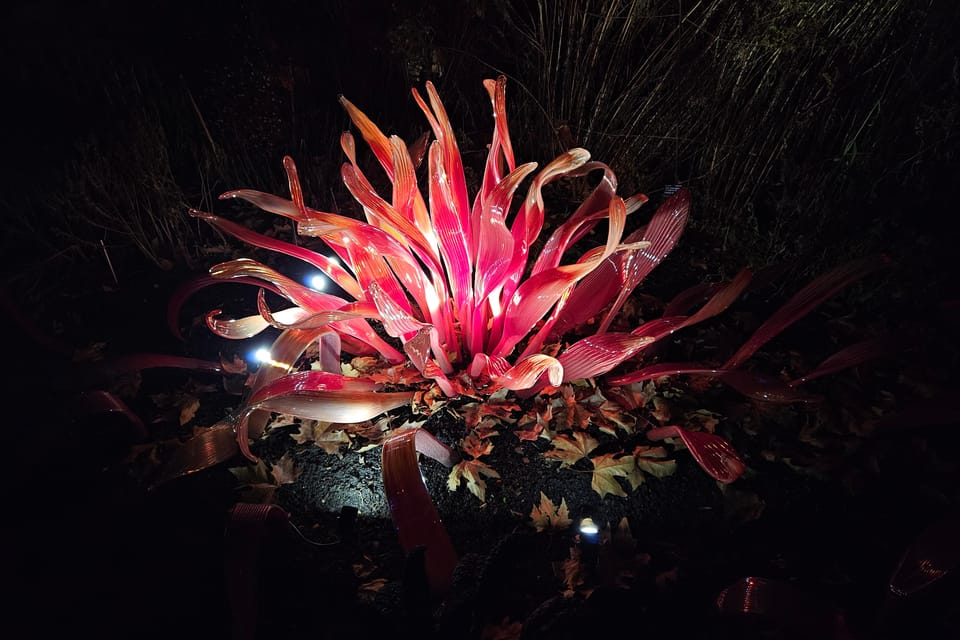 L’exposition 'Le jardin de cristal' de Jiří Pačinek au Jardin botanique de Prague | Photo: Štěpánka Budková,  Radio Prague Int.