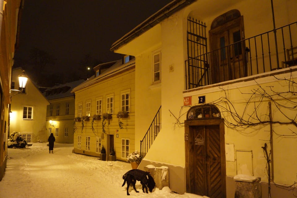Le Nouveau Monde, photo: Miloš Turek Le Nouveau Monde, photo: Miloš Turek