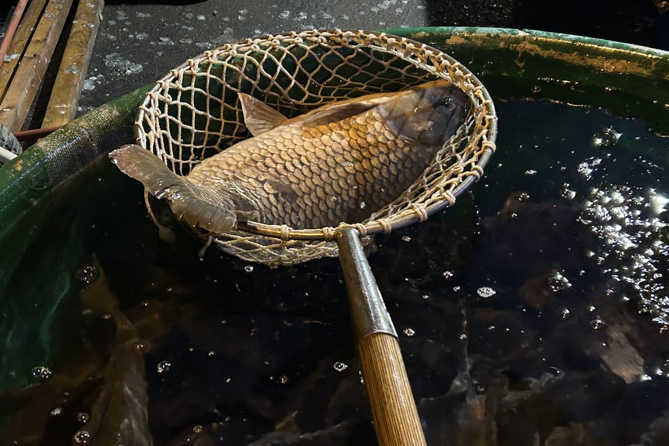 La vente des carpes de Noël | Photo: Juan Pablo Bertazza,  Radio Prague Int.