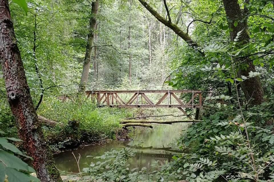 Le sentier de la vallée de Peklo | Photo: Štěpánka Budková, Radio Prague Int. Le sentier de la vallée de Peklo | Photo: Štěpánka Budková, Radio Prague Int.