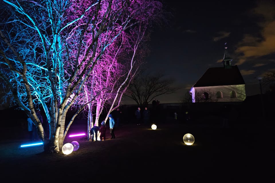 L’exposition 'Le jardin de cristal' de Jiří Pačinek au Jardin botanique de Prague | Photo: Štěpánka Budková,  Radio Prague Int.