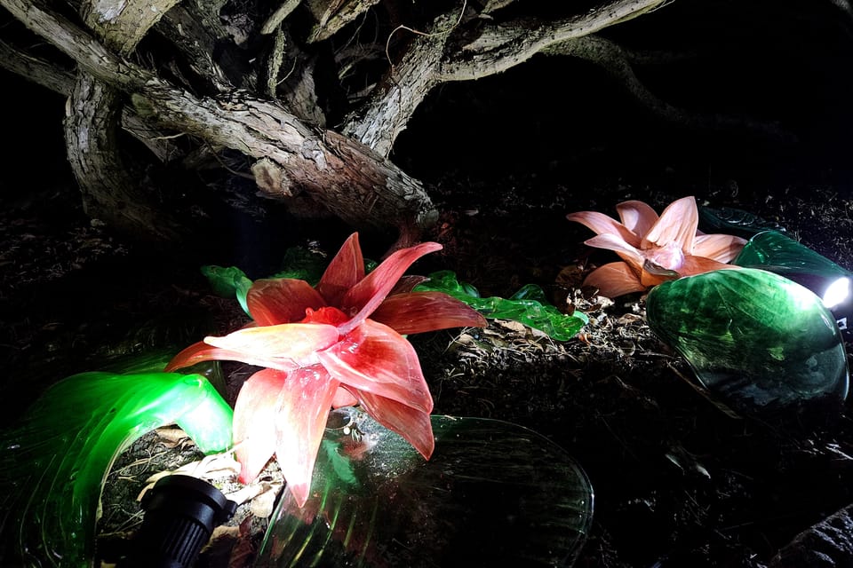 L’exposition 'Le jardin de cristal' de Jiří Pačinek au Jardin botanique de Prague | Photo: Štěpánka Budková,  Radio Prague Int.