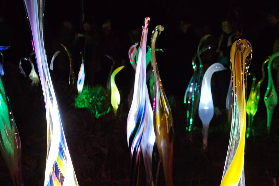 L’exposition 'Le jardin de cristal' de Jiří Pačinek au Jardin botanique de Prague | Photo: Štěpánka Budková,  Radio Prague Int.