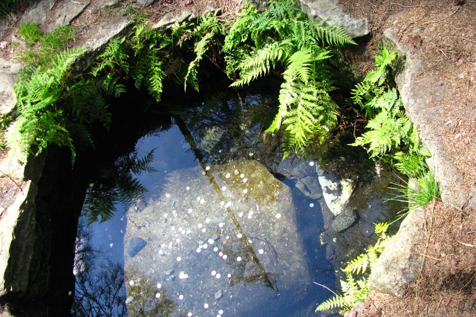 La naissance f d'un fleuve de la rivière Vltava à Šumava | Photo: Barbora Němcová, Radio Prague Int. La naissance f d'un fleuve de la rivière Vltava à Šumava | Photo: Barbora Němcová, Radio Prague Int.