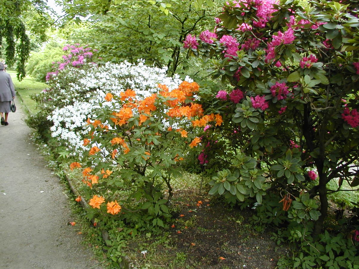 Le Printemps Dans Un Jardin Radio Prague International