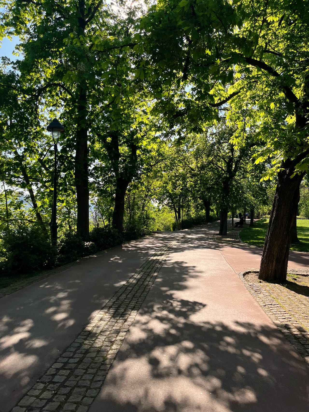 Parc Letna Courir à Prague: Letná, terrain de course et lieu de vie | Radio Prague ...